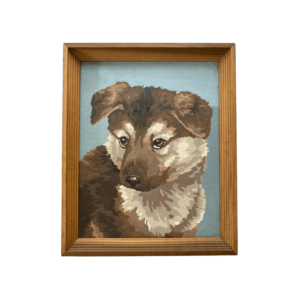 Picker Joes Wall Decor Collie Puppy Paint by Numbers