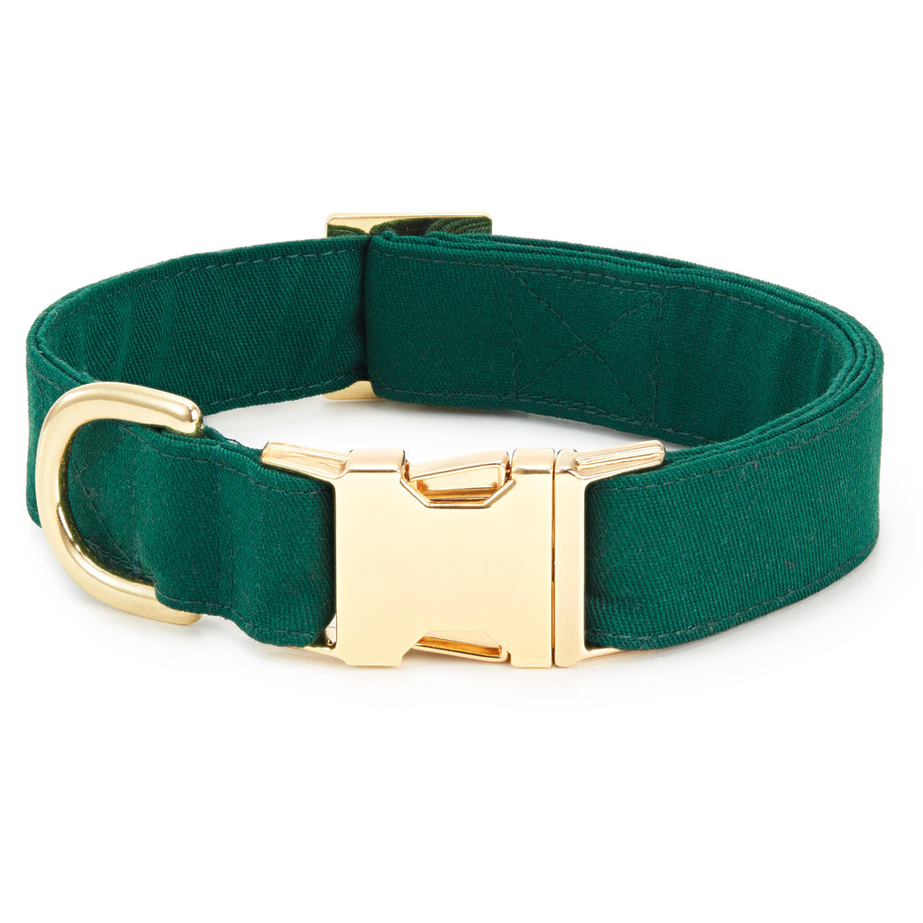 The Foggy Dog L / Gold Evergreen St. Patrick's Day Dog Collar