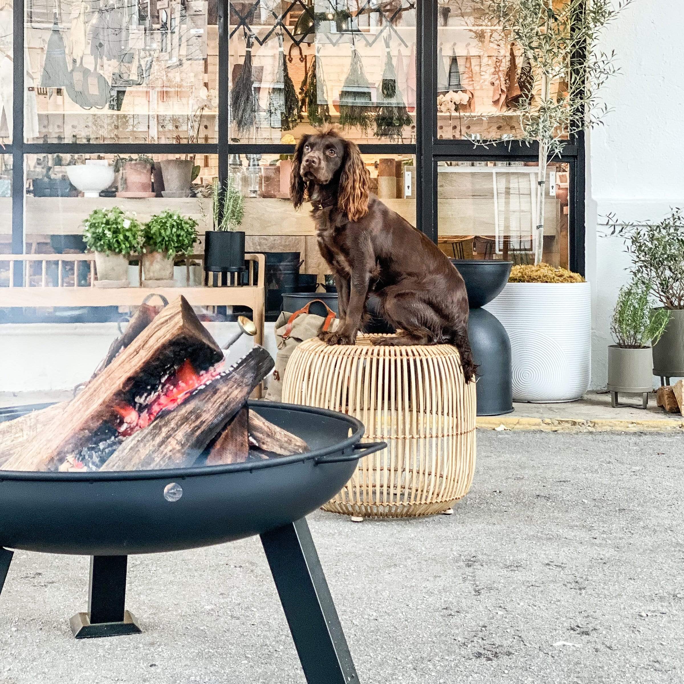 Stainless Steel Fire Pit