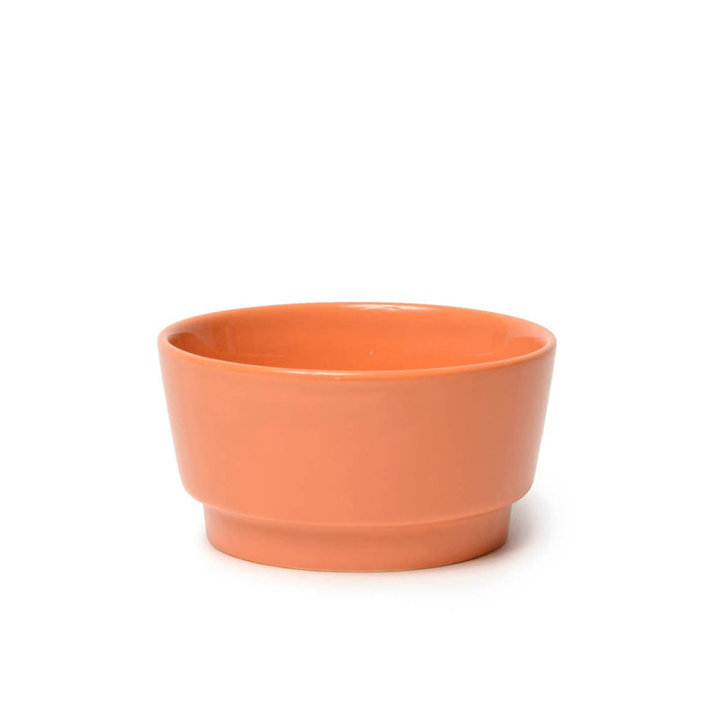 Waggo Pet Rust Gloss Ceramic Dog Bowl