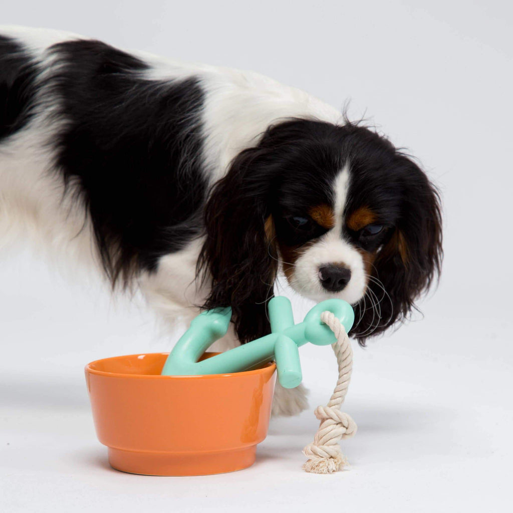 Waggo Pet Gloss Ceramic Dog Bowl