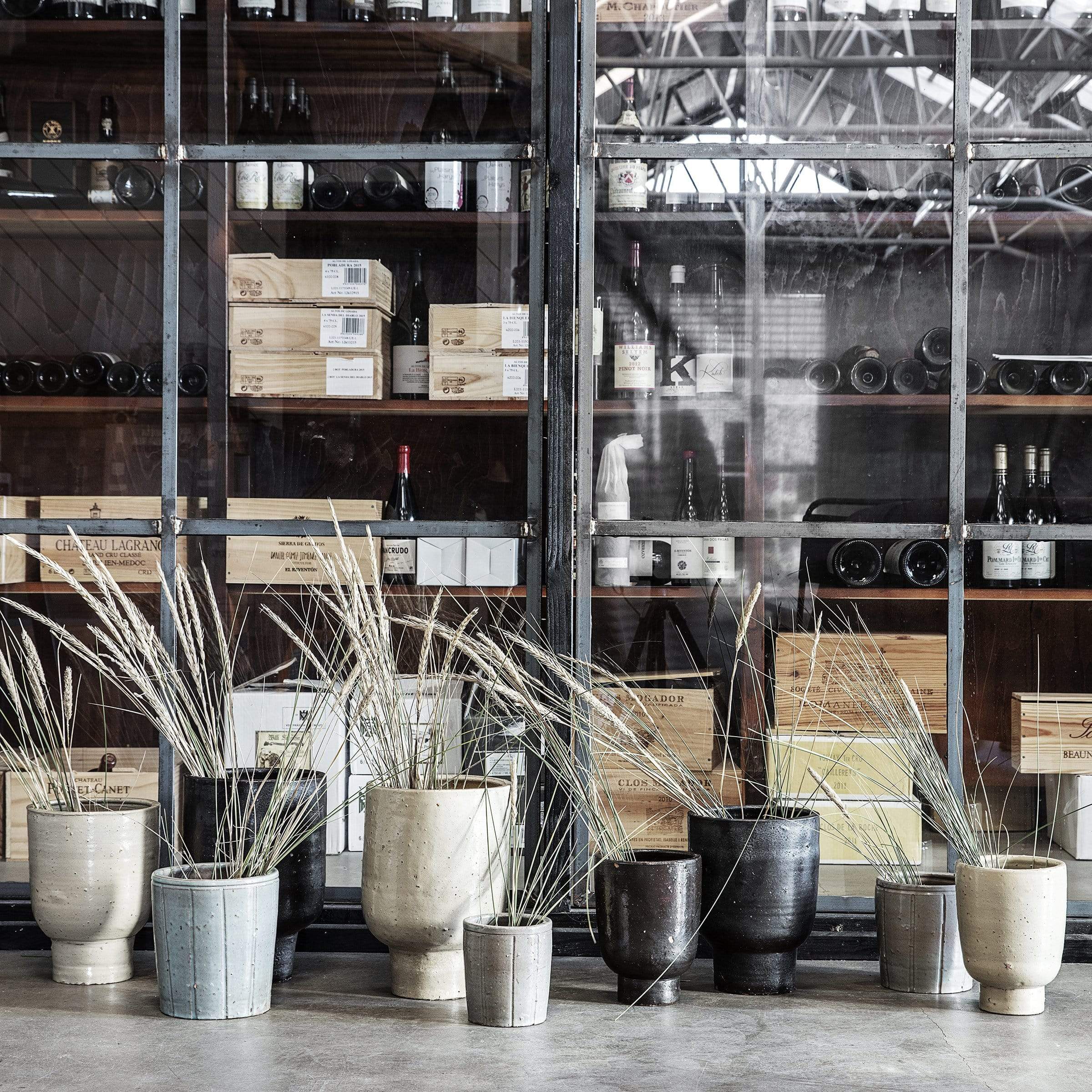 Perfect Plant Vessel For Your Home in 2022 – Asher + Rye