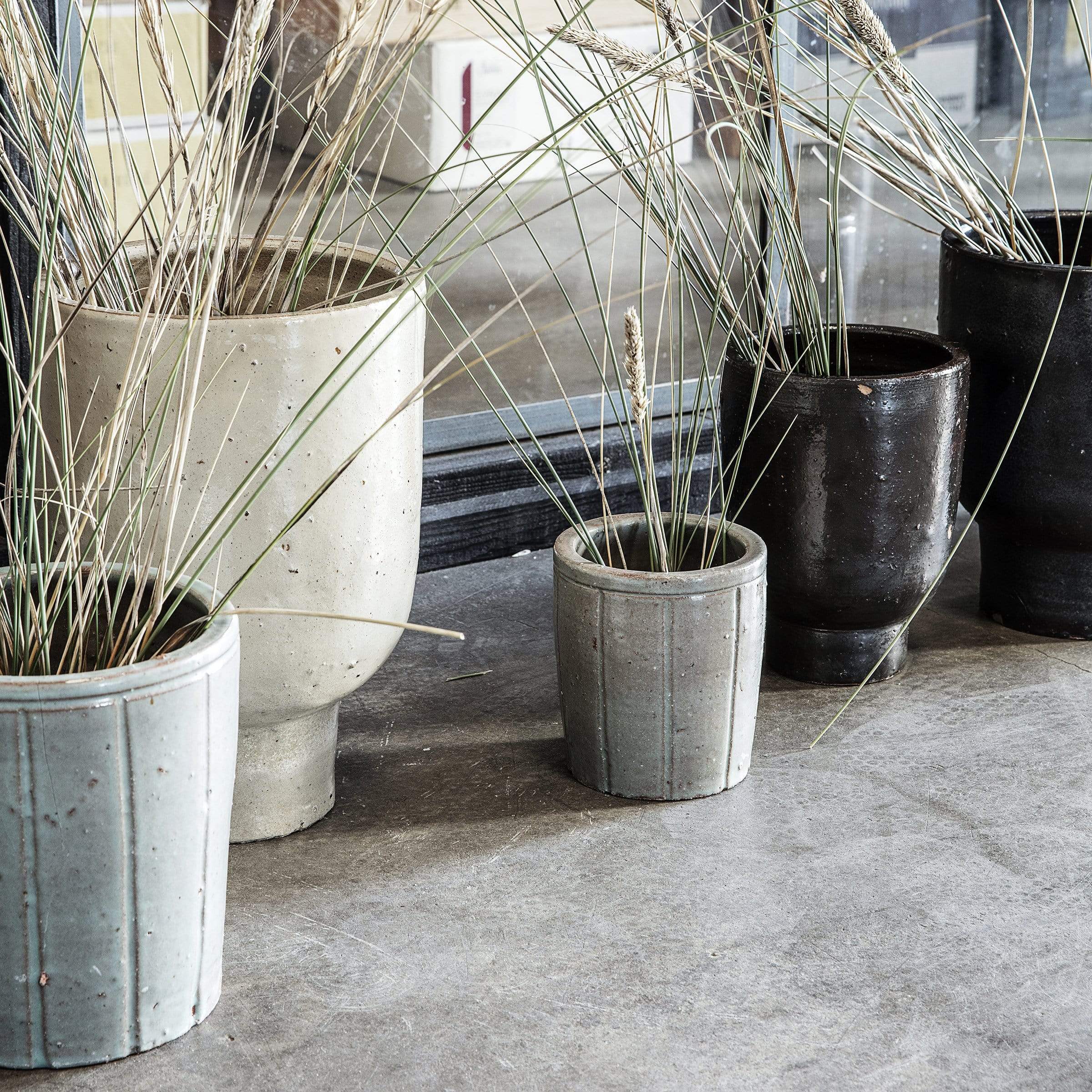 Perfect Plant Vessel For Your Home in 2022 – Asher + Rye