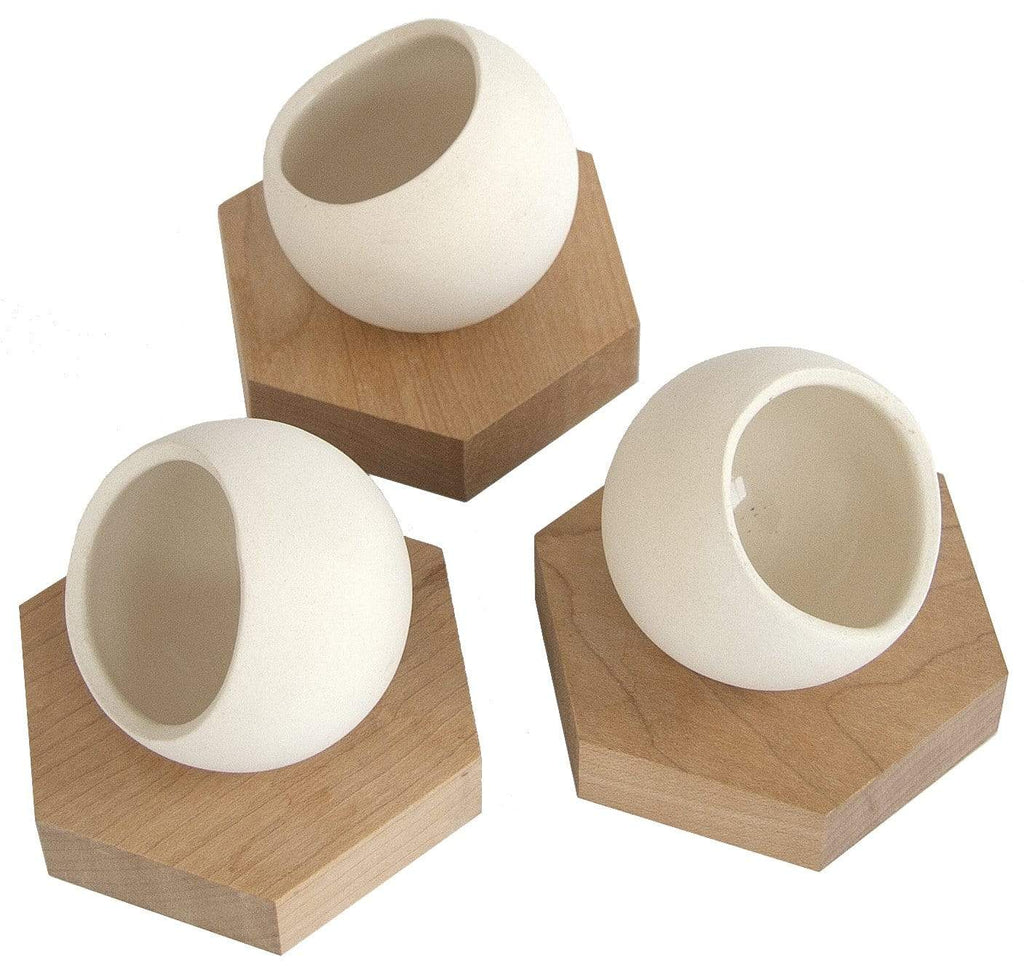 Light + Ladder Accessory Mini Ceramic Planters + Wooden Stands