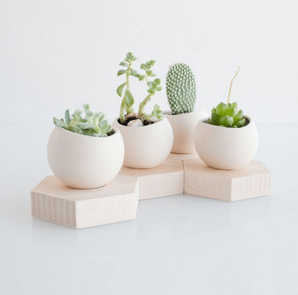Light + Ladder Accessory Mini Ceramic Planters + Wooden Stands