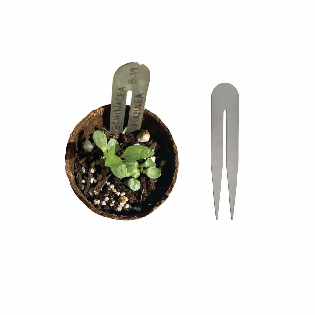 RT1home Garden Plant Tags, Set of 5