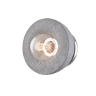 Asher + Rye Poppy Flush Mount