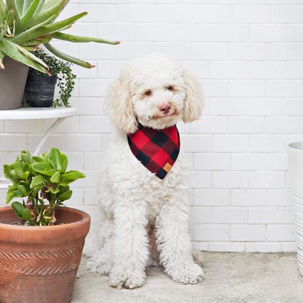 The Foggy Dog Pet Red and Black Check Flannel Dog Bandana