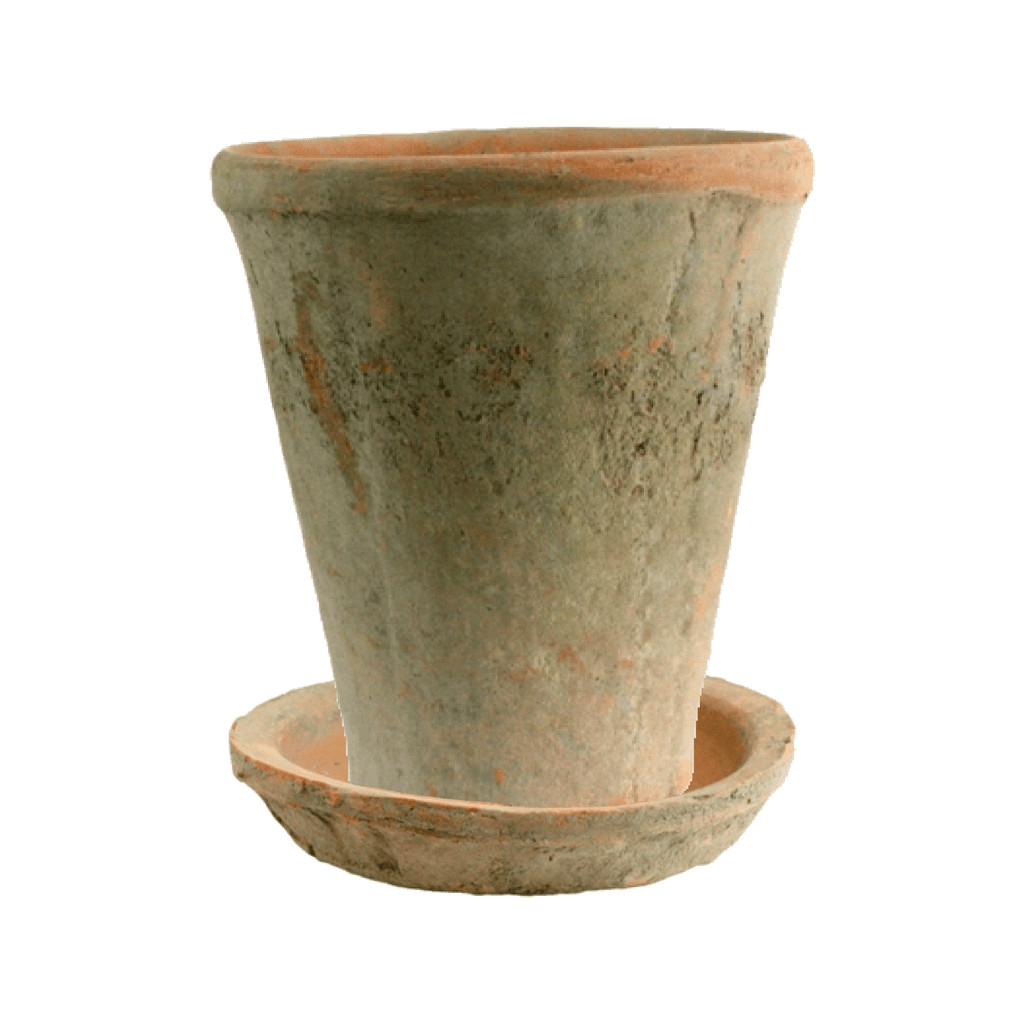 HomArt Rustic Terracotta Rose Pot with Saucer
