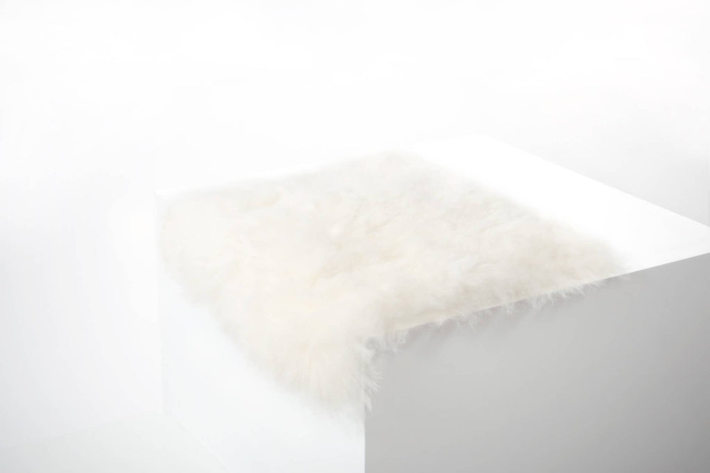 Black Sheep (White Light) Shorn White Icelandic Sheepskin Chair Pad