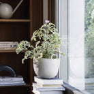 Ferm Living Pottery Speckle Pot