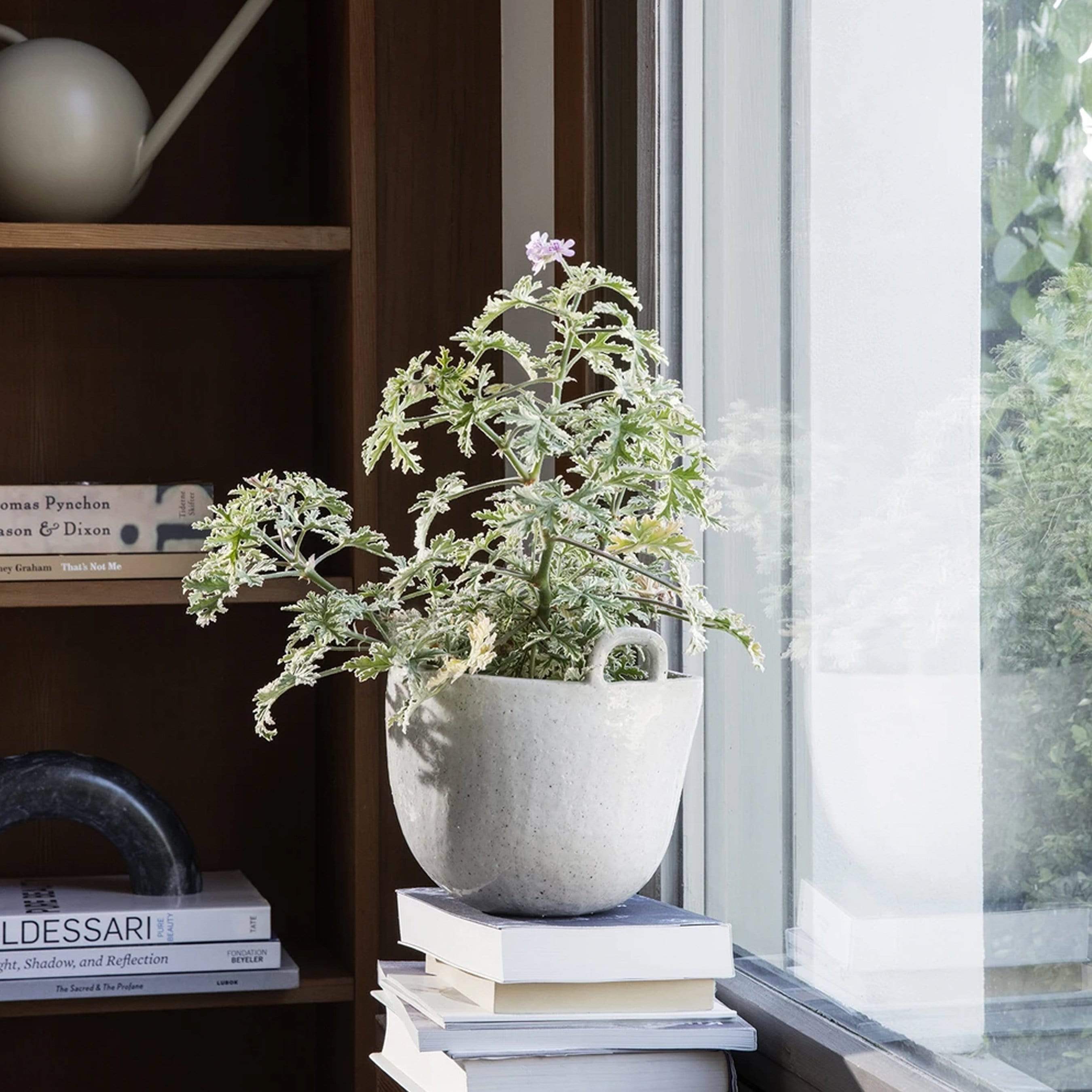 Ferm Living Pottery Speckle Pot