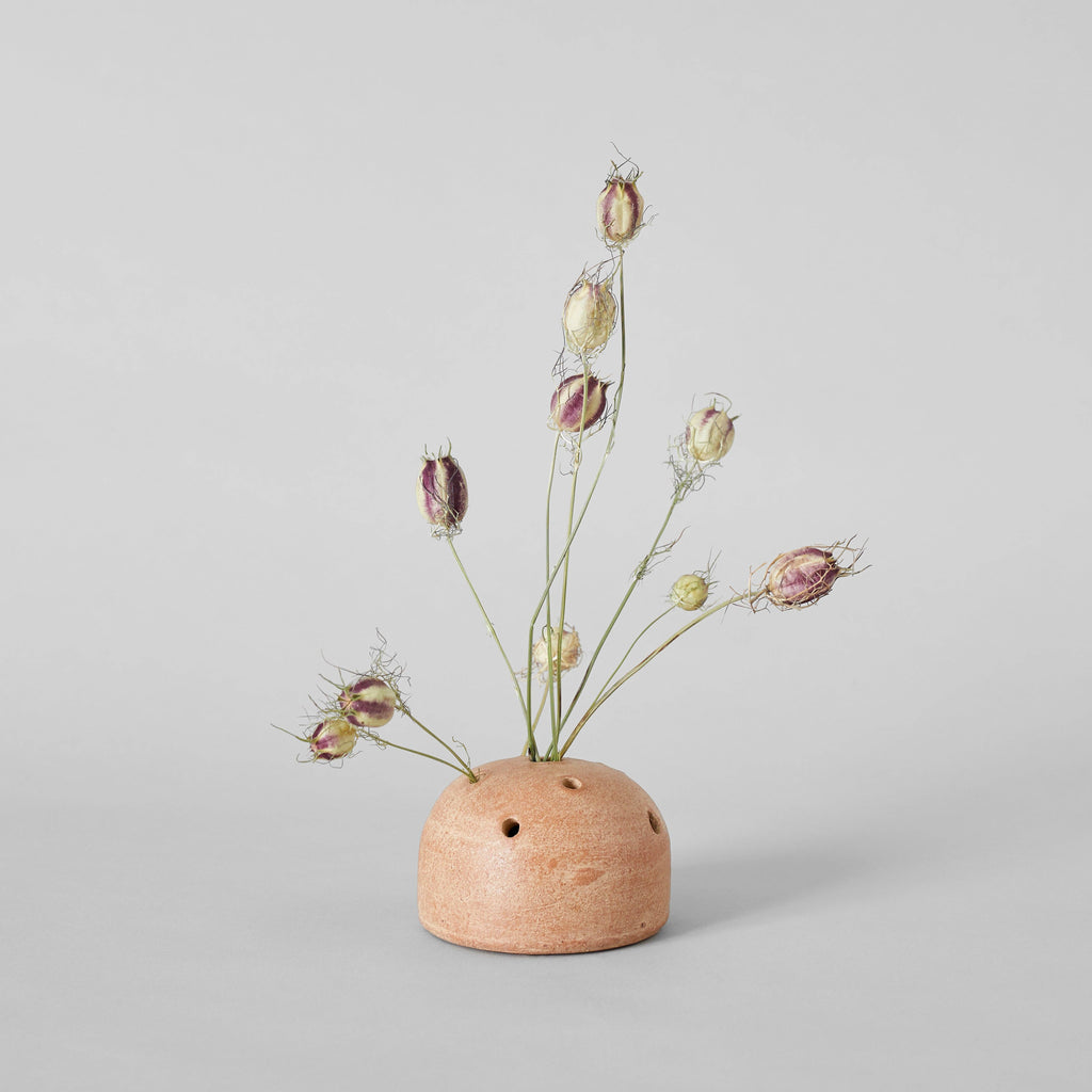 Bloomist Terra Cotta Frog Vases