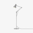 Anglepoise Lighting Silver Luster Type 75™ Floor Lamp