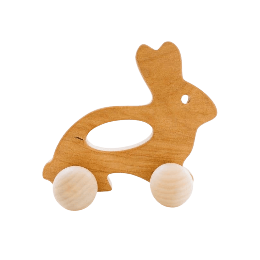 Bannor Toys Child Wooden Bunny Push Toy